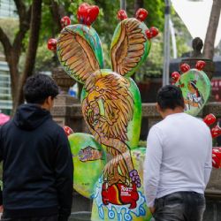 Inauguran exposición al aire libre “Nopalera en el Corazón”, en Paseo de la Reforma