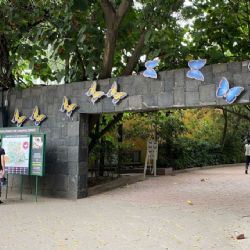 Mariposario de Chapultepec anuncia actividades GRATIS para celebrar vigésimo aniversario