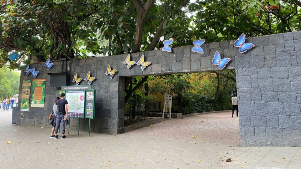 Mariposario de Chapultepec anuncia actividades GRATIS para celebrar vigésimo aniversario |
