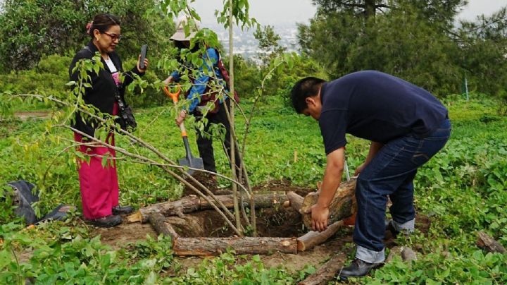 SEDEMA y alcaldía Iztapalapa arrancan proyecto “Huizachtépetl: raíces para el futuro 2025”