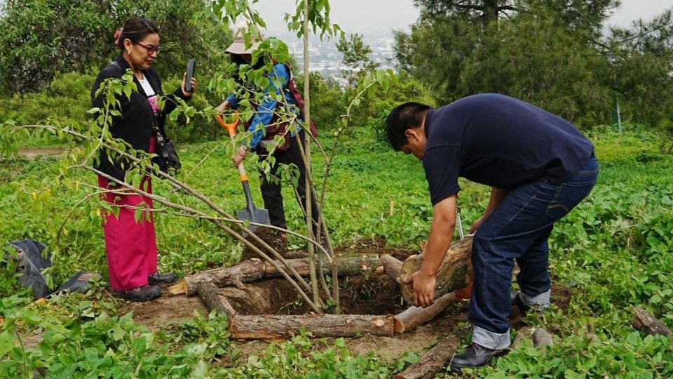 SEDEMA y alcaldía Iztapalapa arrancan proyecto “Huizachtépetl: raíces para el futuro 2025” |
