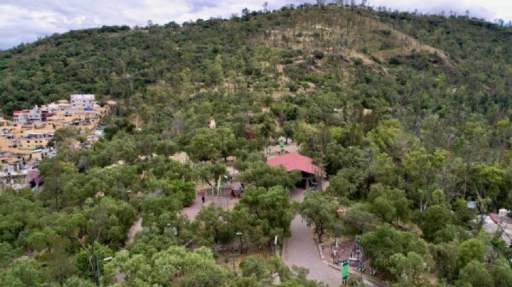 Gobierno CDMX invita al Restauratón en el Parque Nacional El Tepeyac y Sierra de Guadalupe