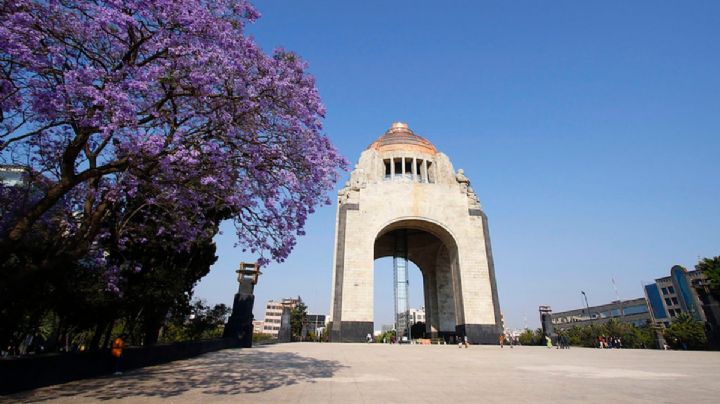 Secretaría de Cultura CDMX invita a las actividades de museos locales para este verano