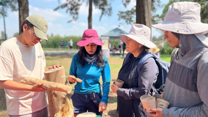 SEDEMA invita al segundo “Festival de la Ciencia” en el Bosque de San Juan de Aragón
