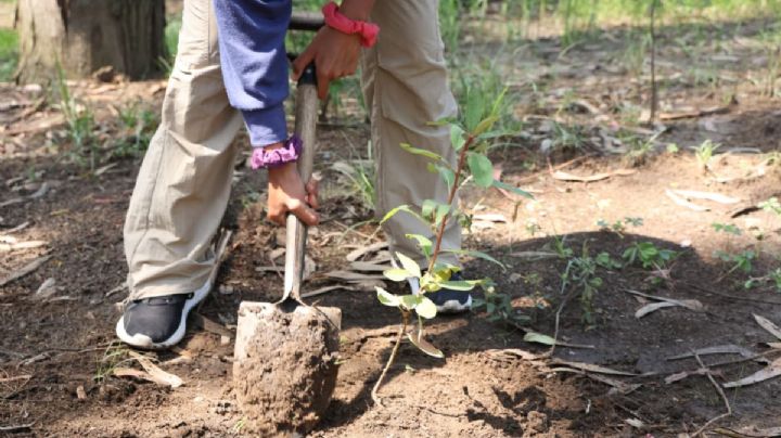 SEDEMA y vecinos realizan Jornada de Reforestación en La Loma