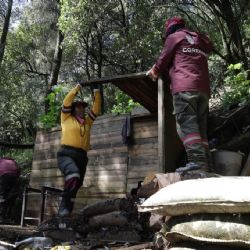Realizan operativo para proteger 15 hectáreas del Bosque de Agua en Santa Rosa Xochiac, Cuajimalpa