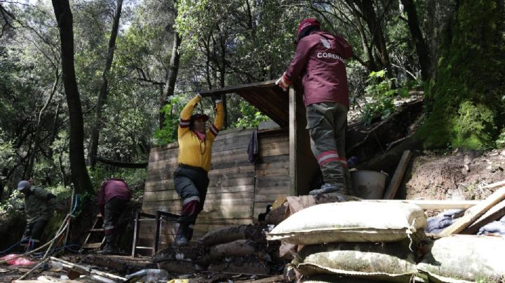 Realizan operativo para proteger 15 hectáreas del Bosque de Agua en Santa Rosa Xochiac, Cuajimalpa