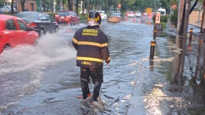 Operativo Tlaloque: Gobierno CDMX atiende encharcamientos y árboles caídos por lluvias