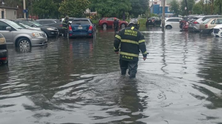 Gobierno CDMX atiende encharcamientos y caída de árboles tras intensas lluvias esta madrugada