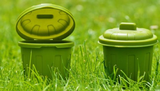 ¿Cómo es la correcta separación de residuos en la CDMX? Esto explica la SEDEMA