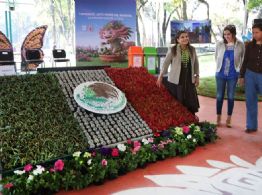 Clara Brugada encabeza inicio de la transformación de 90 avenidas principales rumbo al Mundial