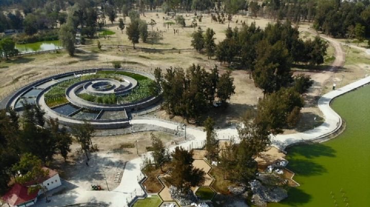Bosque de San Juan de Aragón celebra Día Mundial de los Humedales con GRAN FESTIVAL