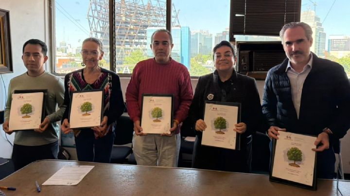 Cultura CDMX, SEDEMA y vecinos firman plan de manejo para el árbol “Eugenio” en Benito Juárez