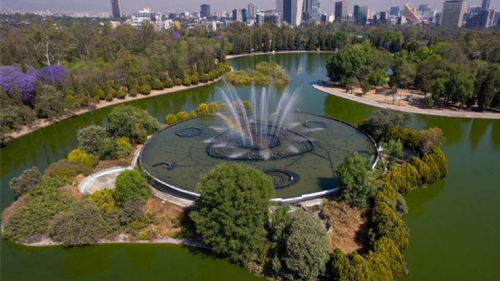 AQÜIFERA, Festival del Bosque 2026: Actividades del evento en el Bosque de Chapultepec