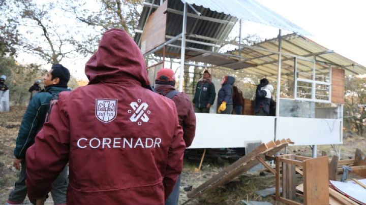 Autoridades protegen más de 85 hectáreas de suelo verde en el Ajusco